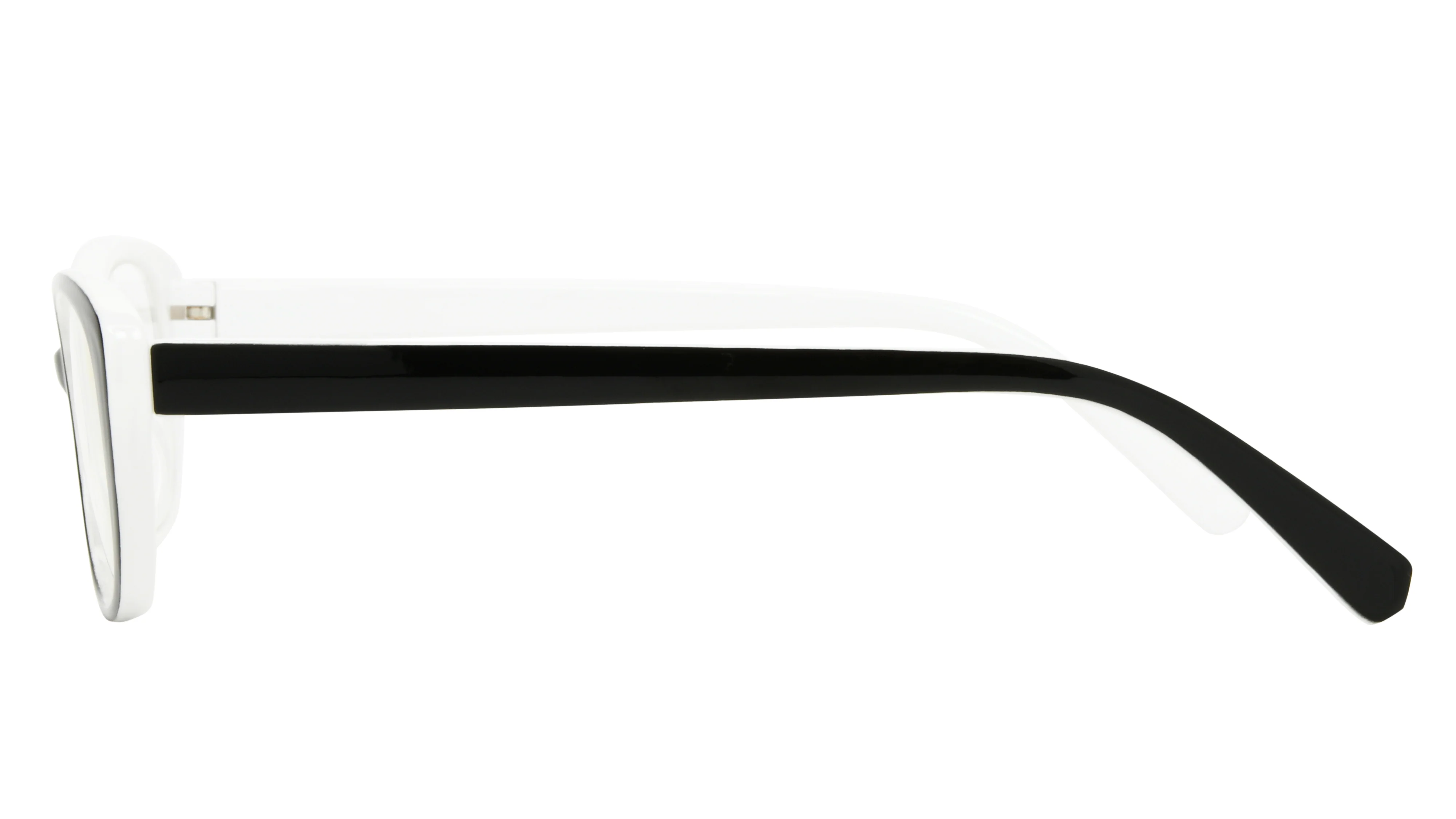 The Renae - Image 7