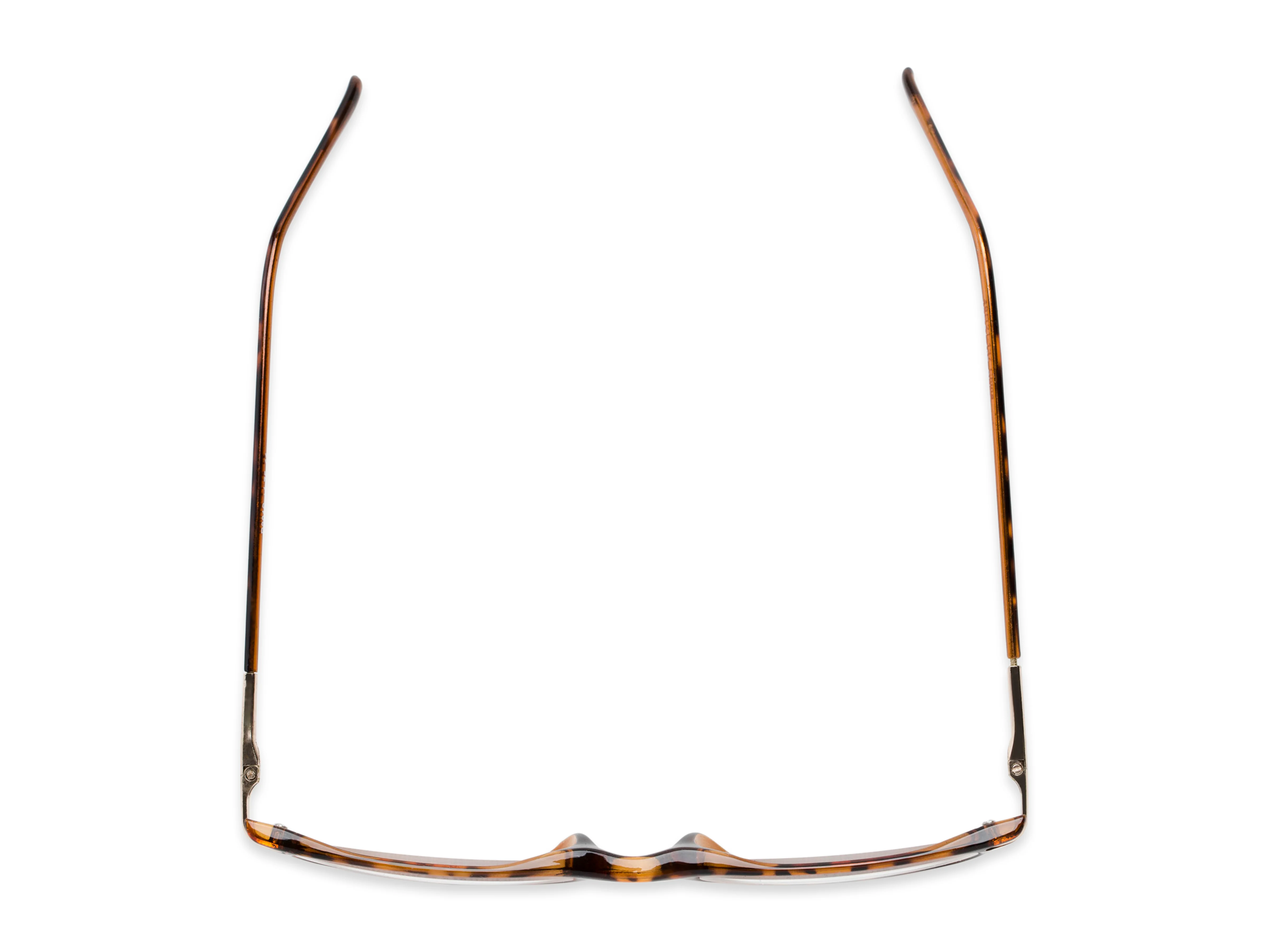 The Charm - Image 19