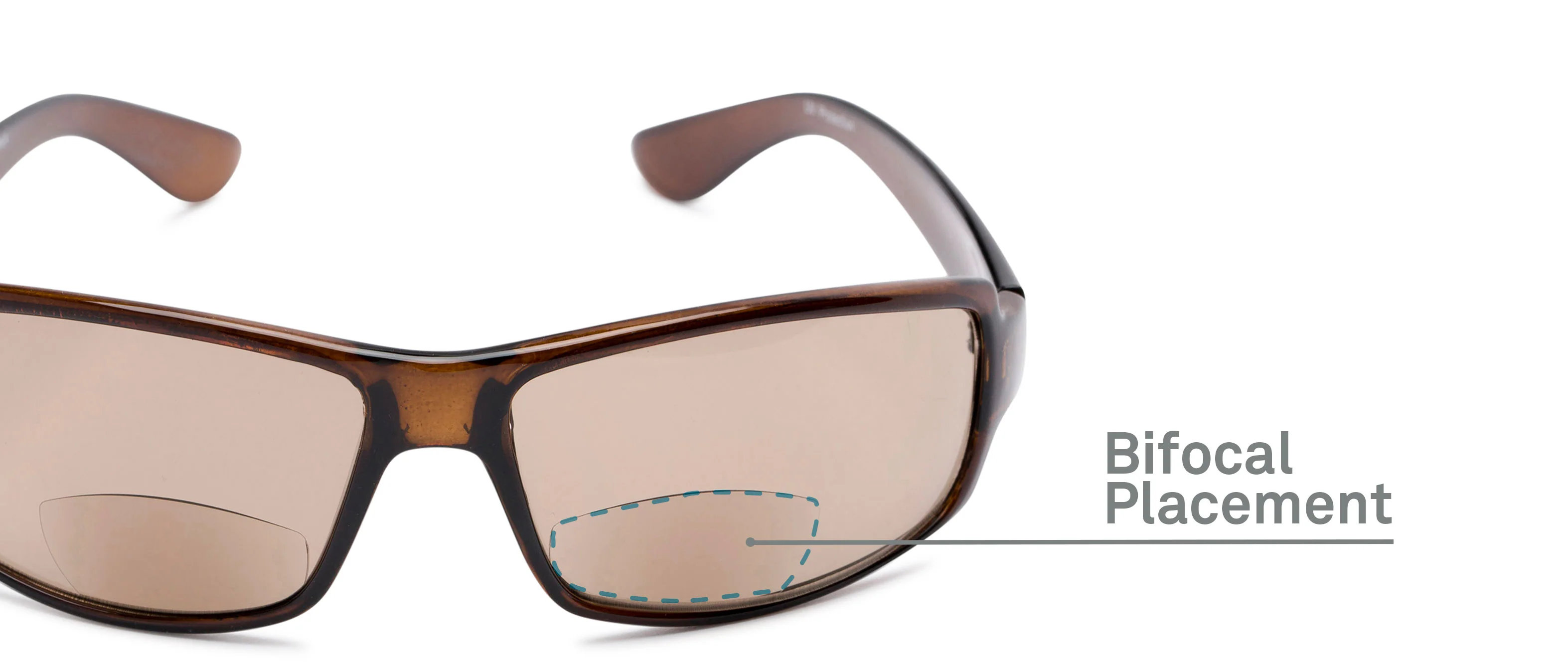 The Felix Bifocal Reading Sunglasses - Image 25
