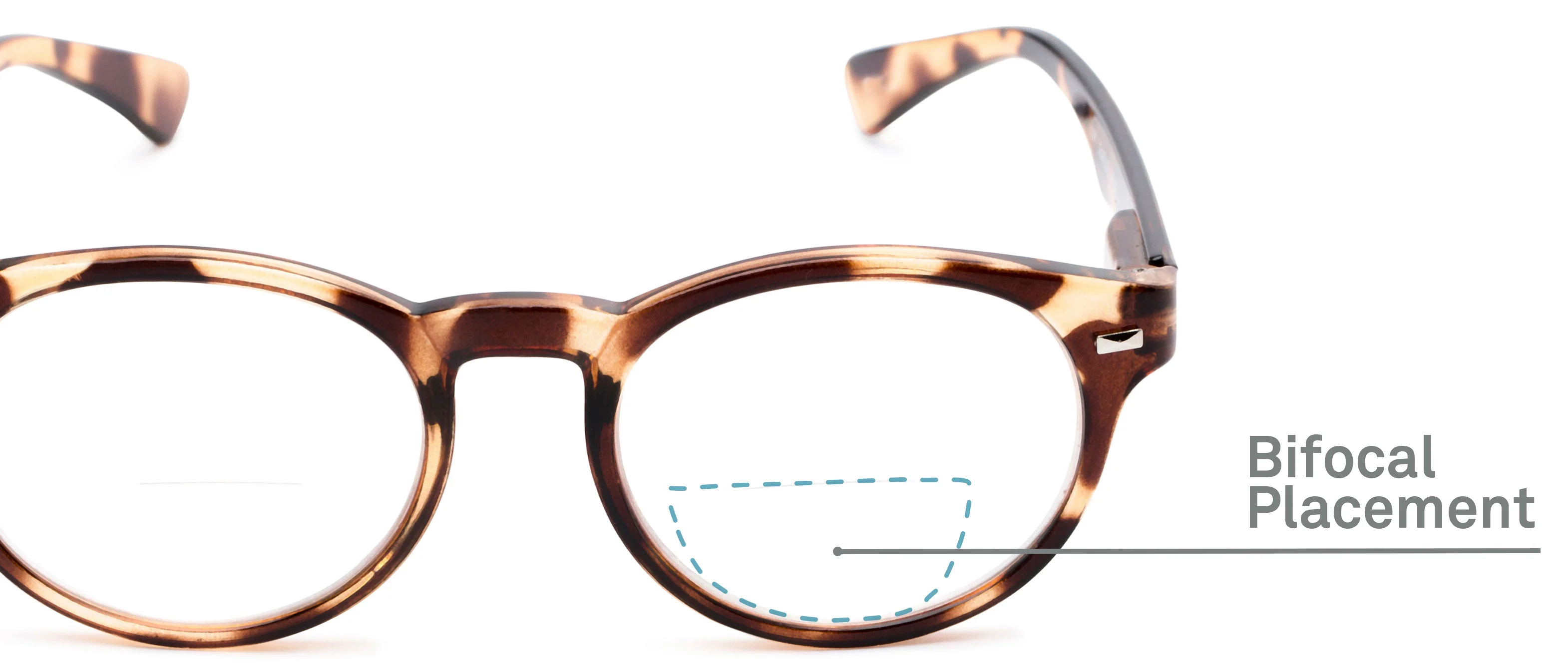 The Ivy League Bifocal-Style - Image 9