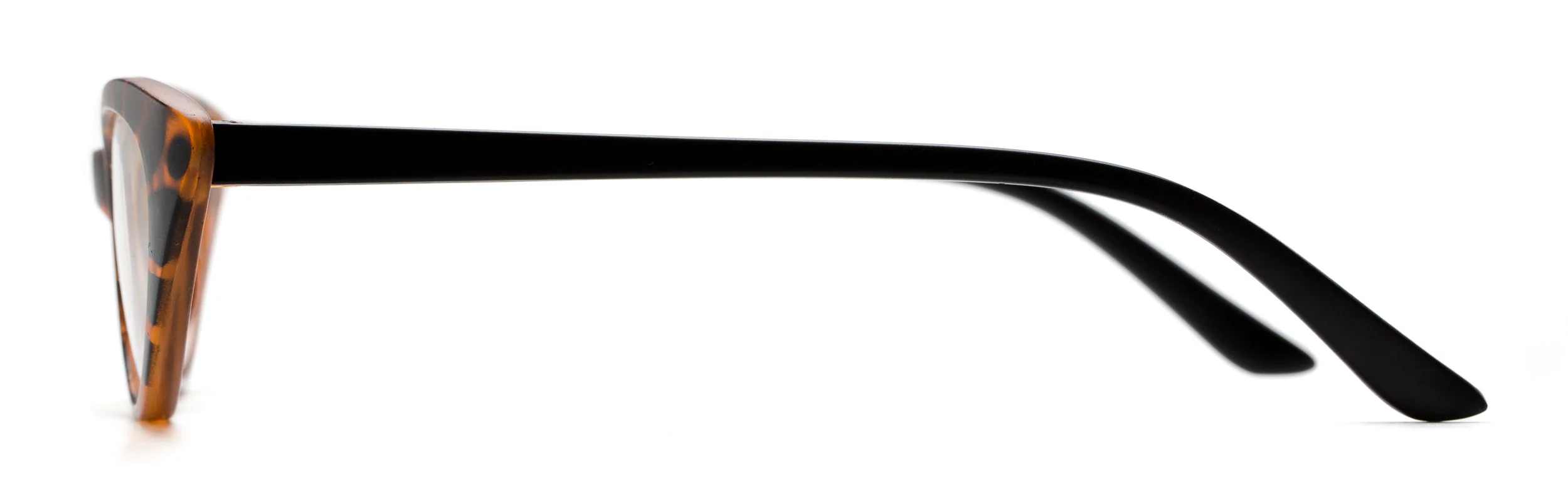 The Stella - Image 18