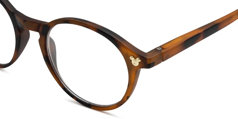 Wonder - Image 6